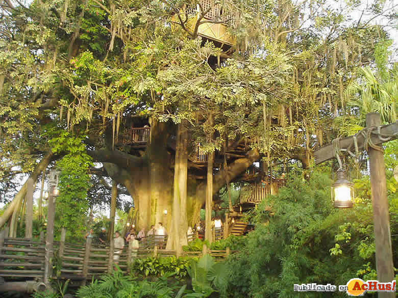 Imagen de Magic Kingdom (Orlando)  Swiss family Treehouse